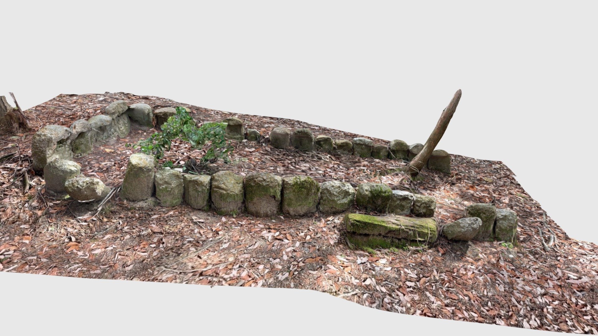 FukurinjiBuddha4
