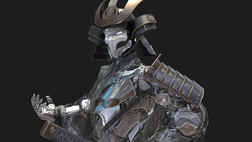 Cyber Samurai