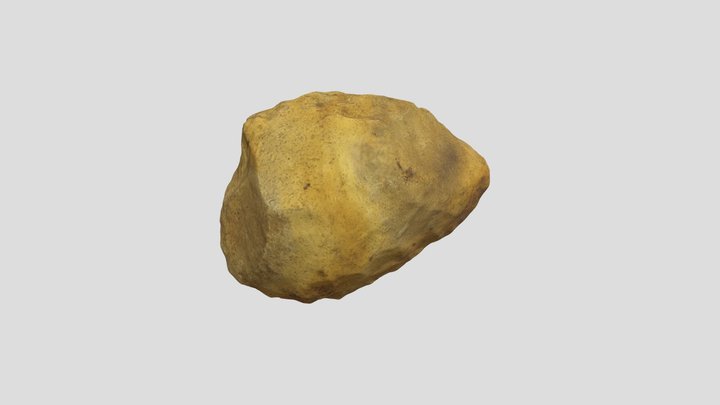 Silex 3D Model