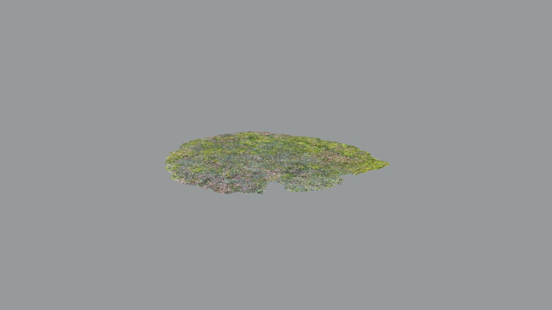 Grass 1