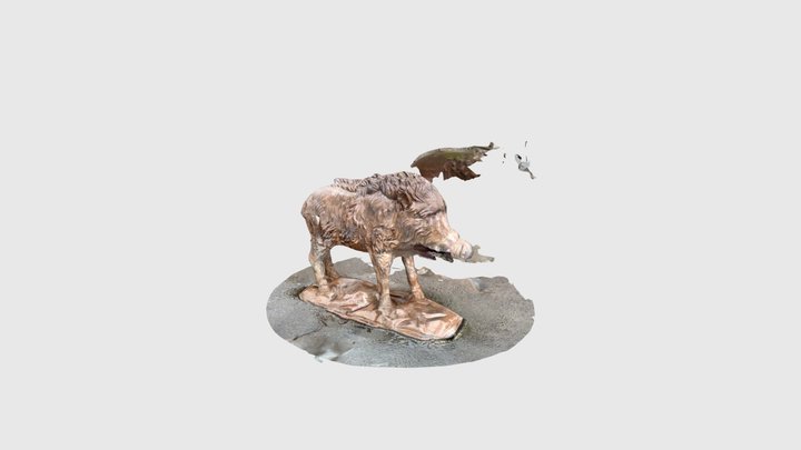 Wild Boar Gone Wrong 3D Model