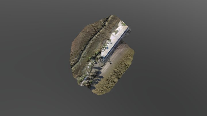 tybee trail 3D Model