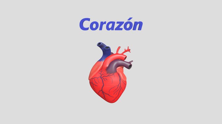 Corazon 3D Model