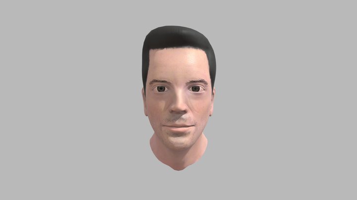 Robert Downey Jr. Bust 3D Model