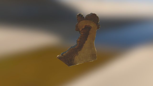 Wood Model 3D Model