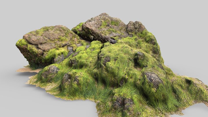 Mossy Beach Boulder Photoscan – Modèle 3D gratuit STL