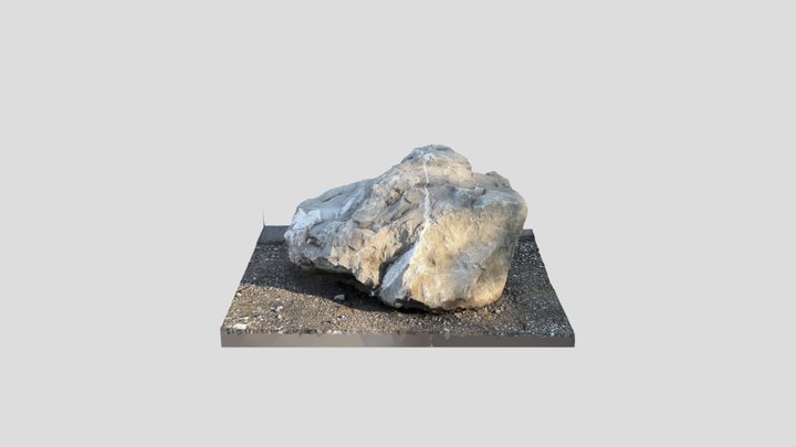 Stone on gravel Realityscan 3D Model