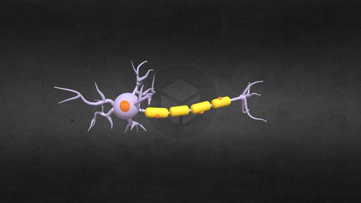 Neurona 3D Model