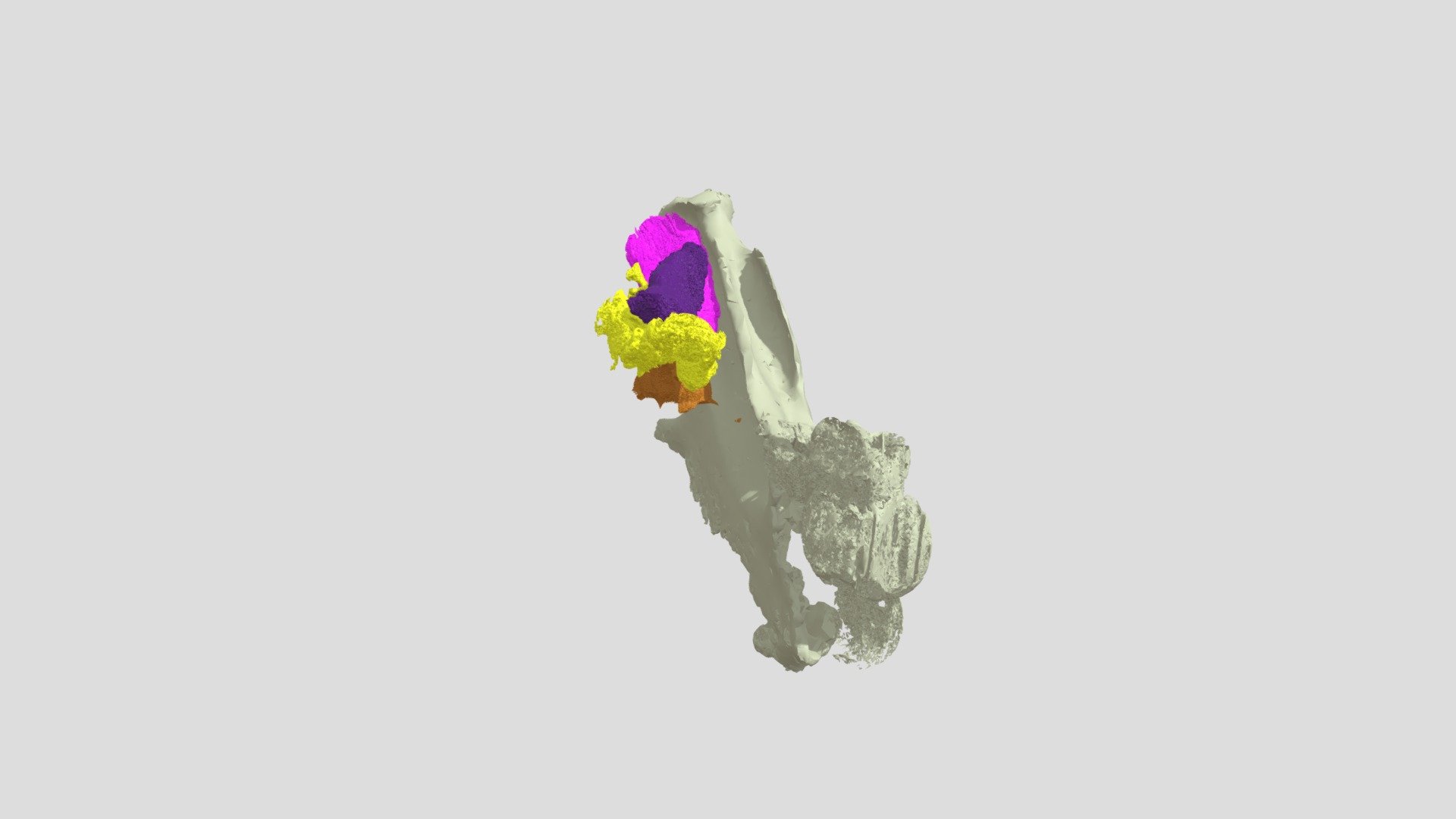 Stained Half Rabbit Readytoupload - 3D model by williamslabou [26df9e8 ...