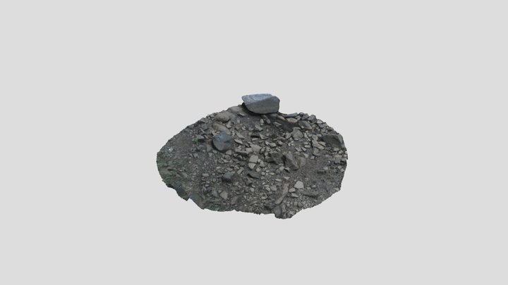 River Shoreline 2 3D Model