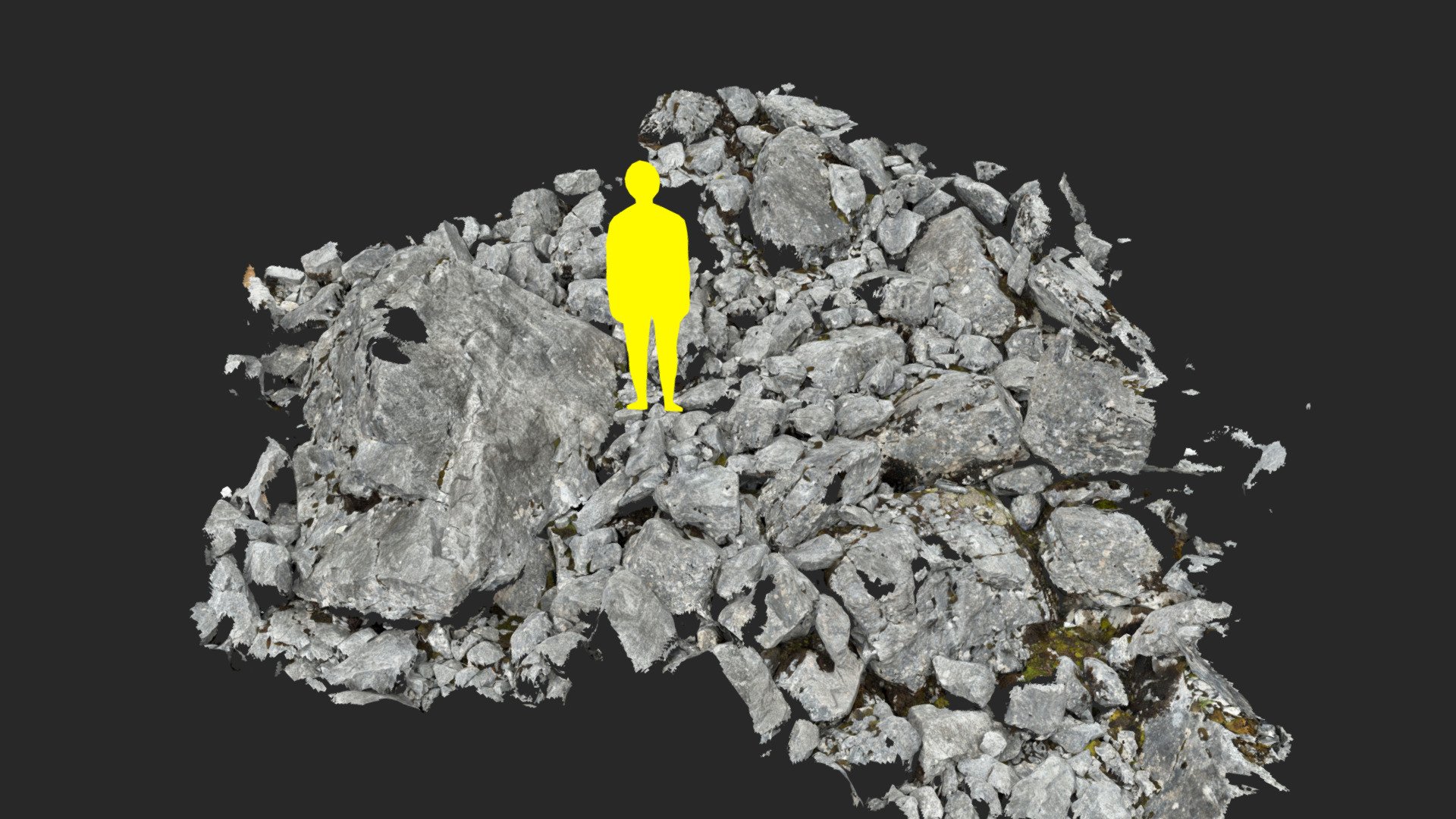 rock field lidar scan Download Free 3D model by zexell [26e2847