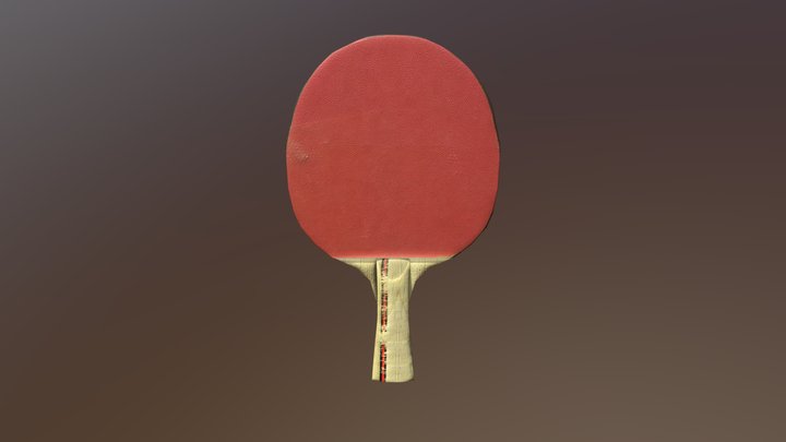 Finished Paddle 3D Model