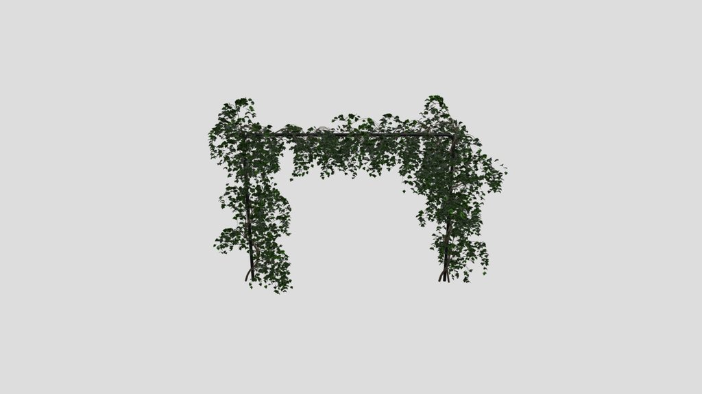Simple Ivy Trellis Plant