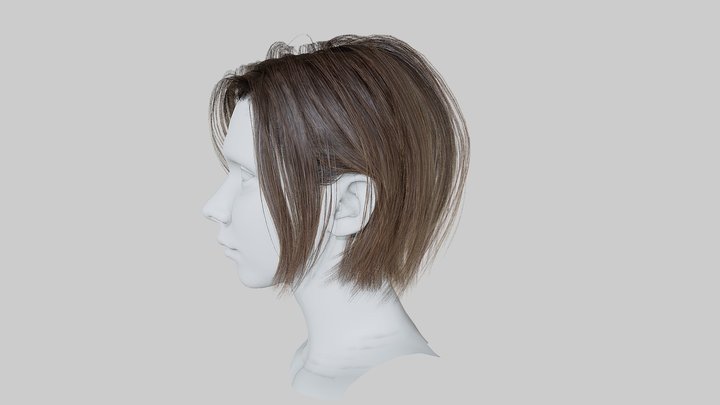 Short Hair 3D Model