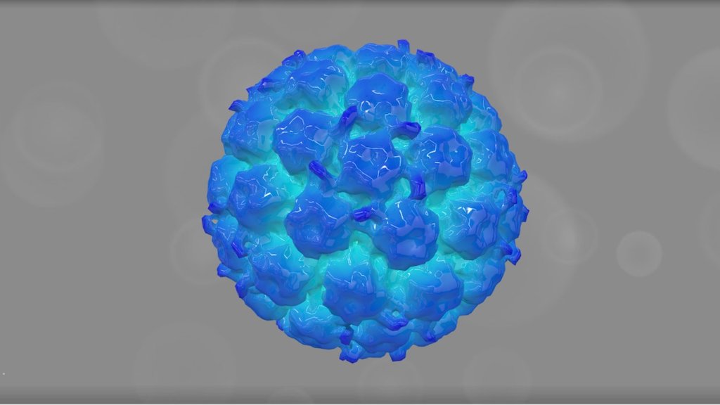 EMD 6424 - 3D model by Interactive 3D Data (@proteinsimulation ...