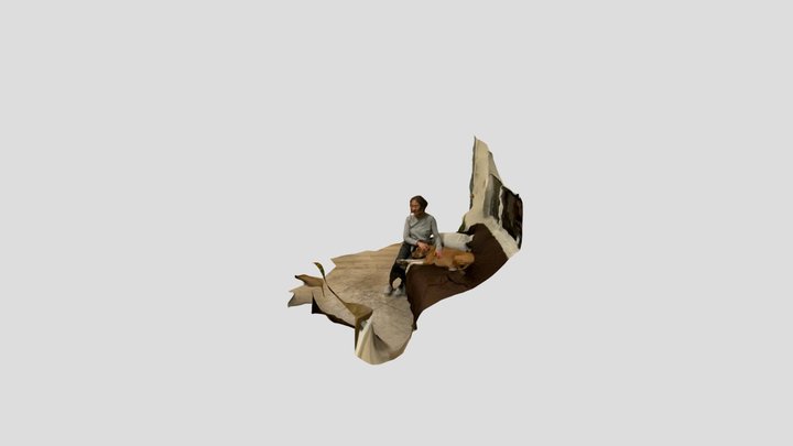 Polycam capture 3D Model