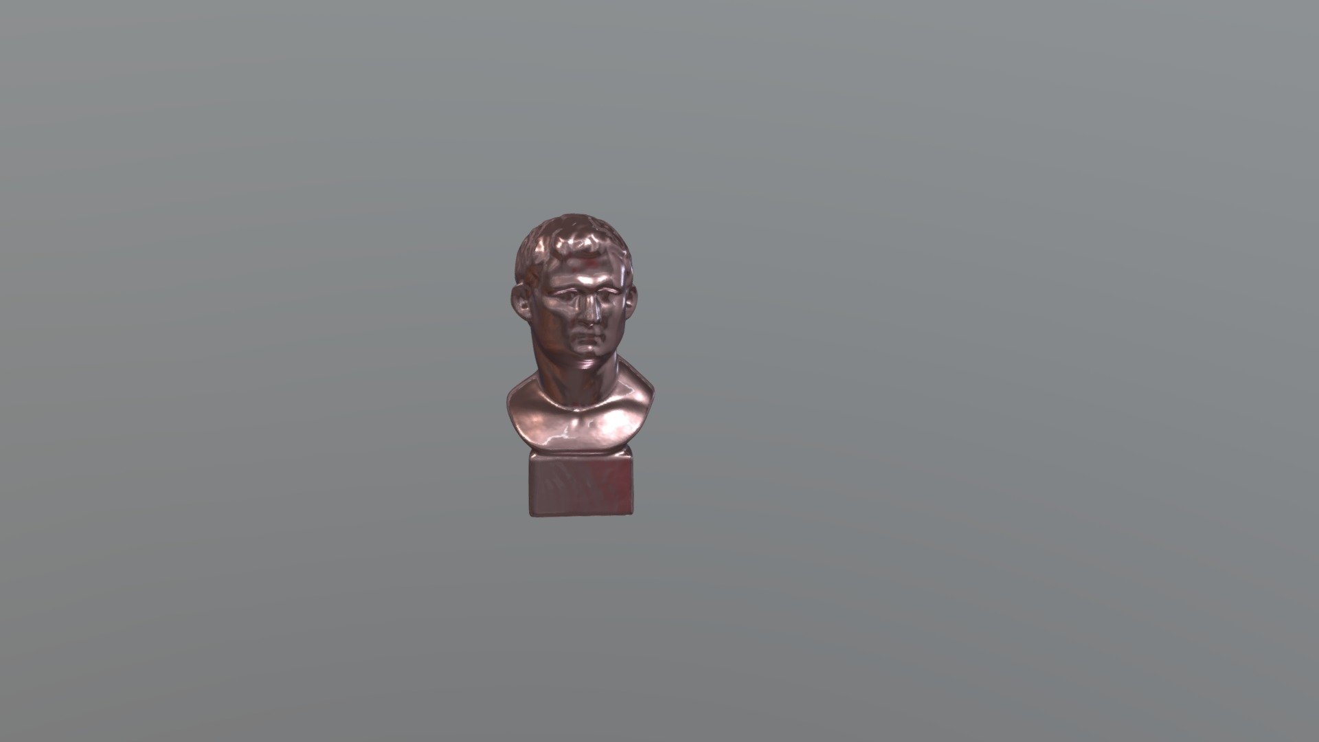 Bust