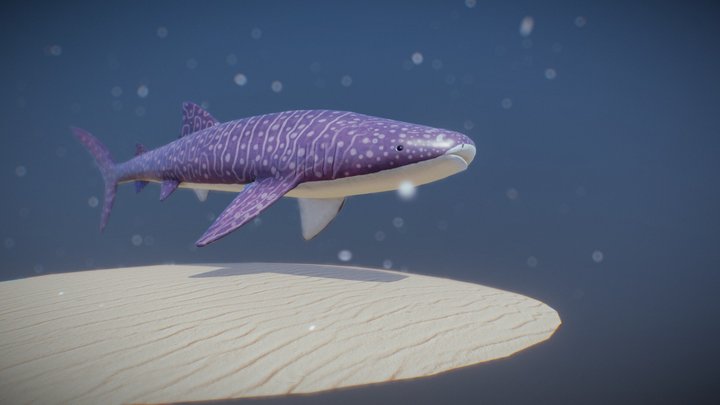 Whale Shark 3D Model