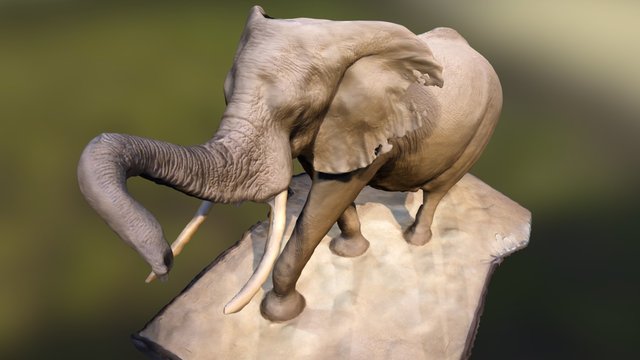 Elephant in the Rotunda 3D Model