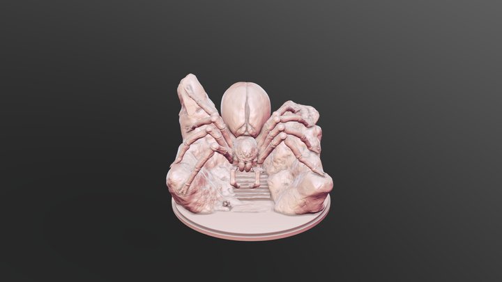 Spider 3D Model