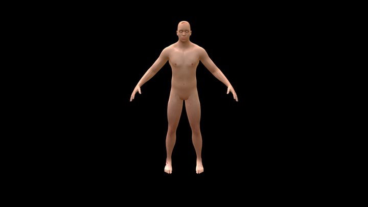 Injury Mapping - All injuries 3D Model