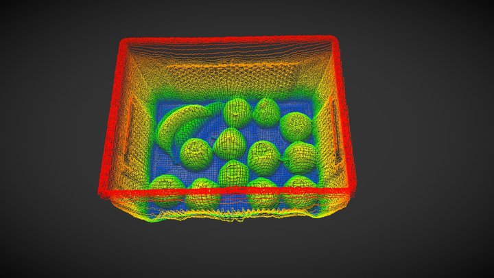 Point Cloud Fruit - Basler blaze ToF Camera 3D Model