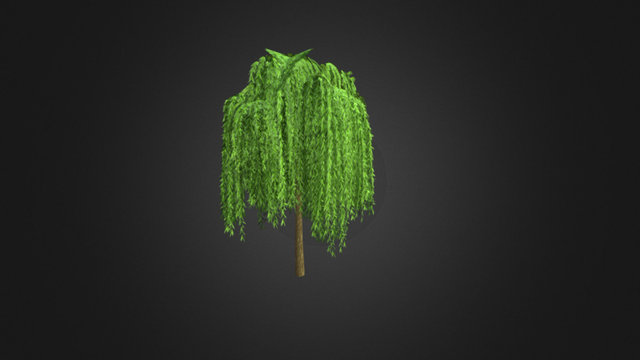 Lowpoly Willow 3D Model