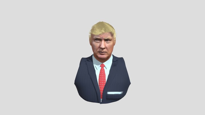 Donald bust no shape keys 3D Model