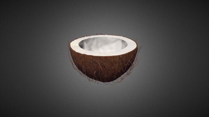 Coconut (Half) 3D Model