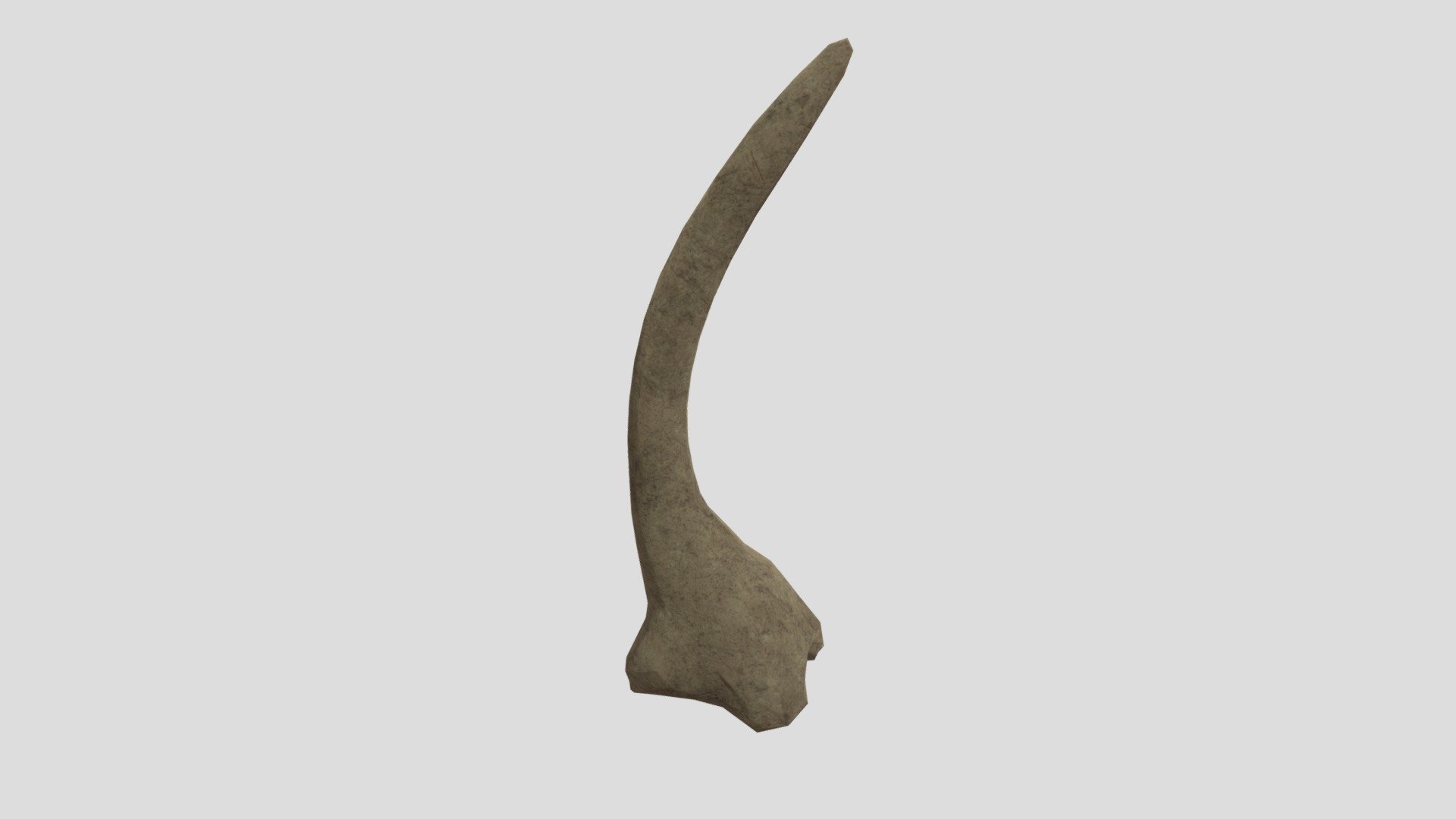 ribbone