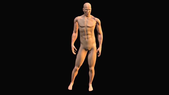 Human Anatomy Study 3D Model