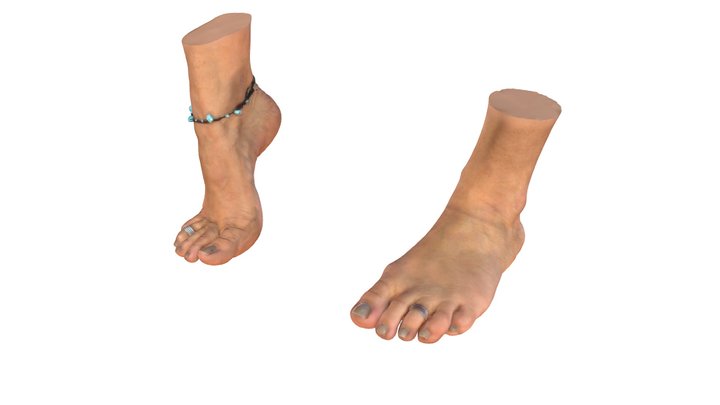 Fuß (weiblich) Scan - 4 3D Model