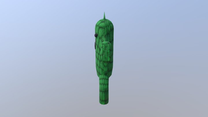 Cactilio 3D Model