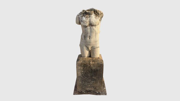 Male Torso Statue – Roman Villas of Carthage 3D Model