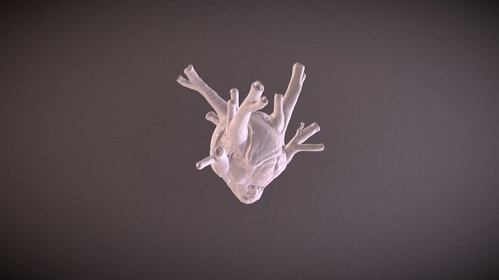 CORAZON 3D Model