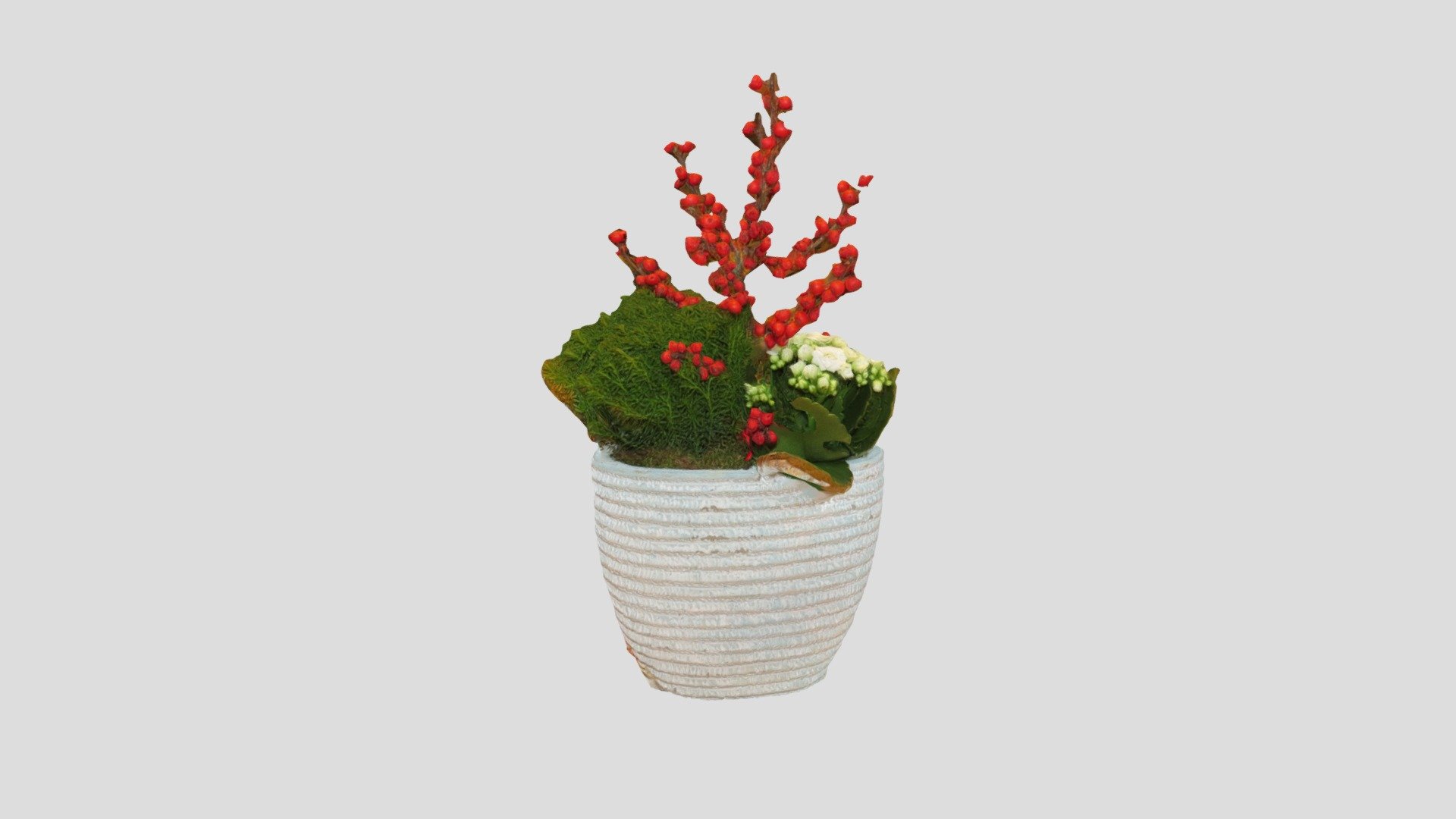 A flower