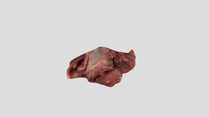 New Qlone 3D Model