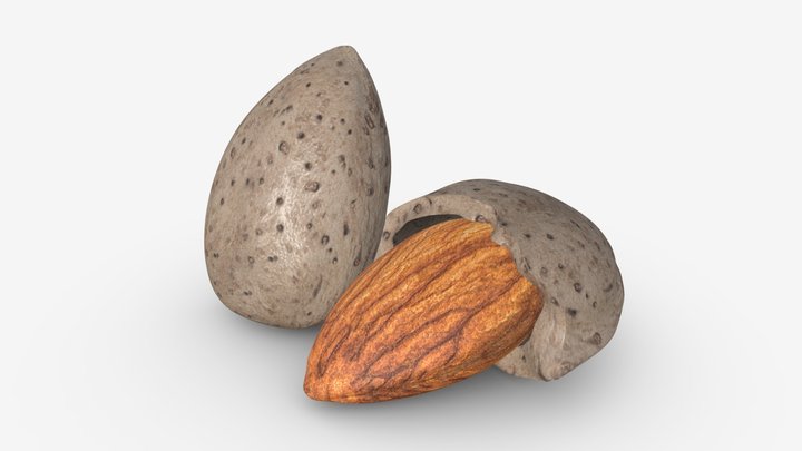 Almond nuts 01 3D Model