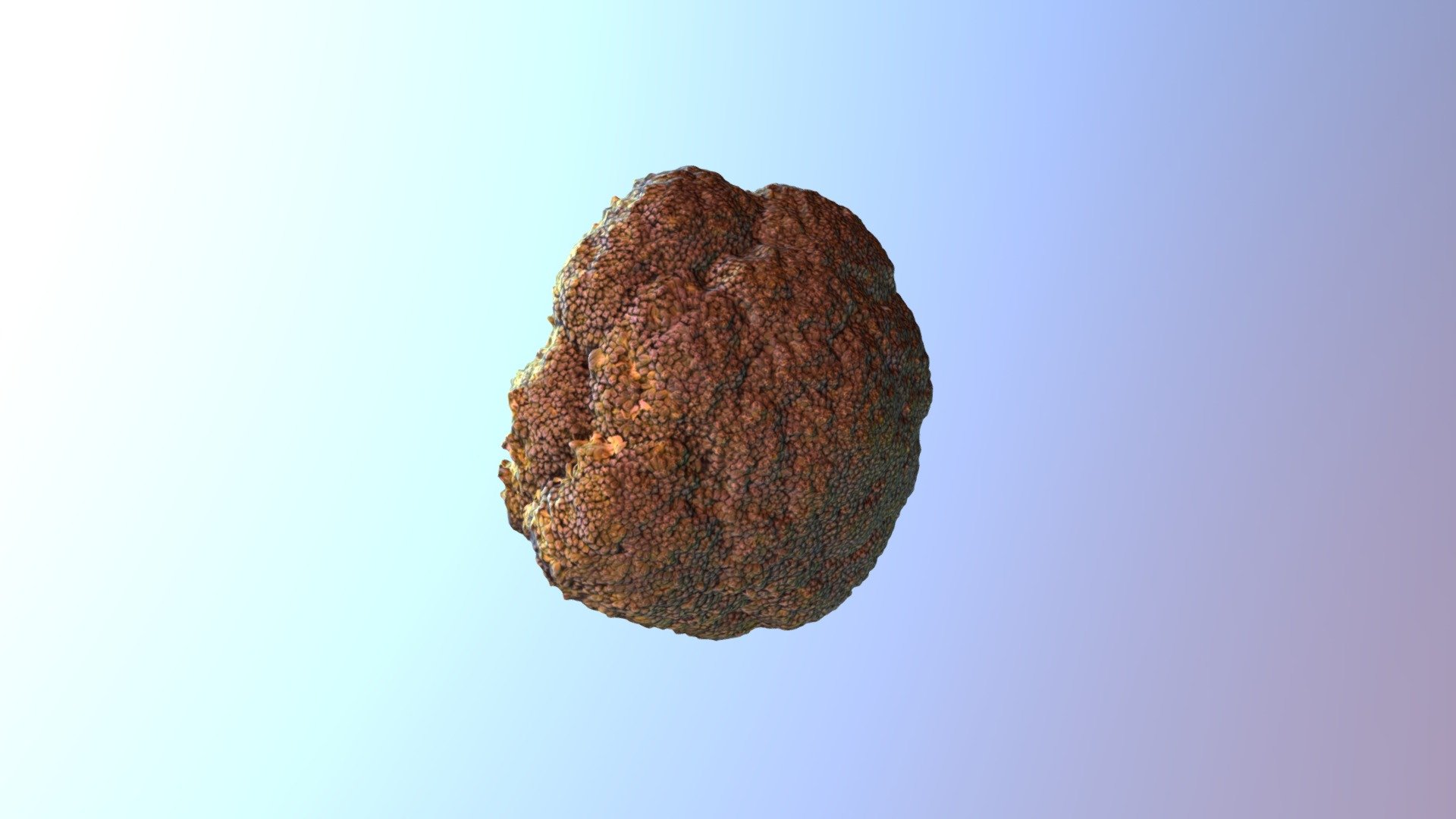 Broccoli 2 - 3D model by kotrynaula [2715048] - Sketchfab