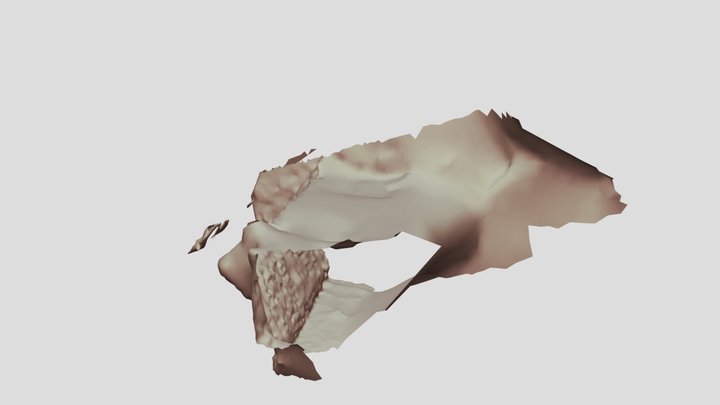 Malla_con_textura_2 3D Model