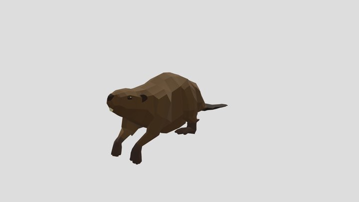 Beaver swimming 3D Model