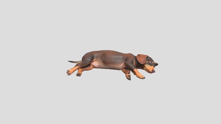 Sleepy Dachshund Dreams 3D Model