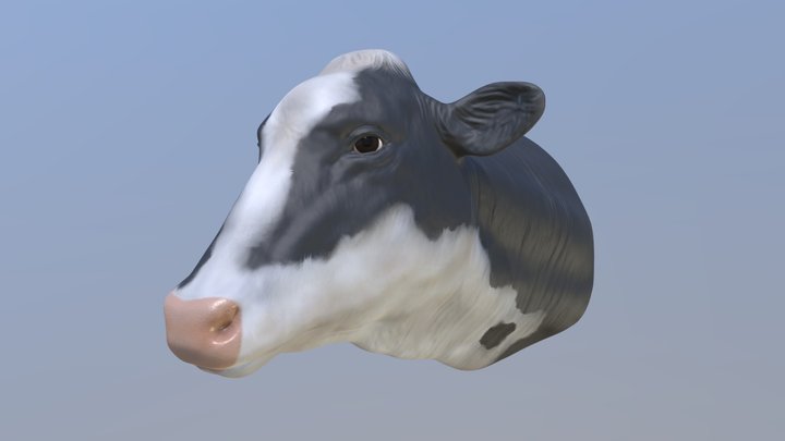 PBR Cow Head Free 3D Model 3D Model