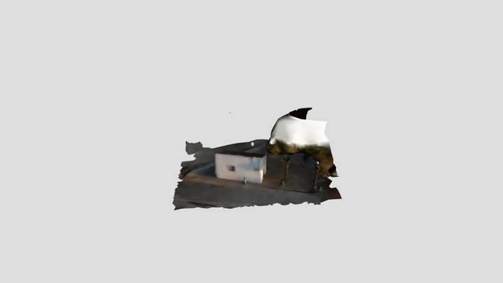 Caseta_mesh_poisson 3D Model