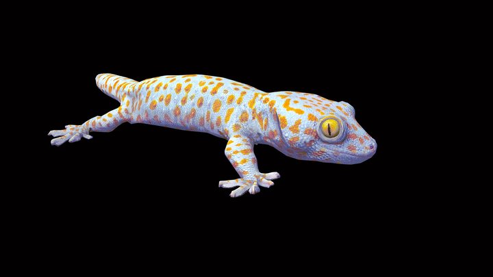 Model 40A - Walking Tokay Gecko, "Big Mama"