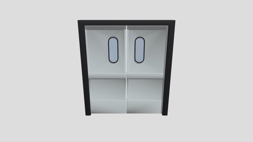 Hospital Door