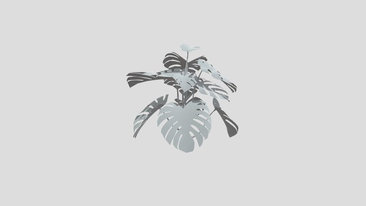 Monestera Plant Young – Gratis 3D-model STL