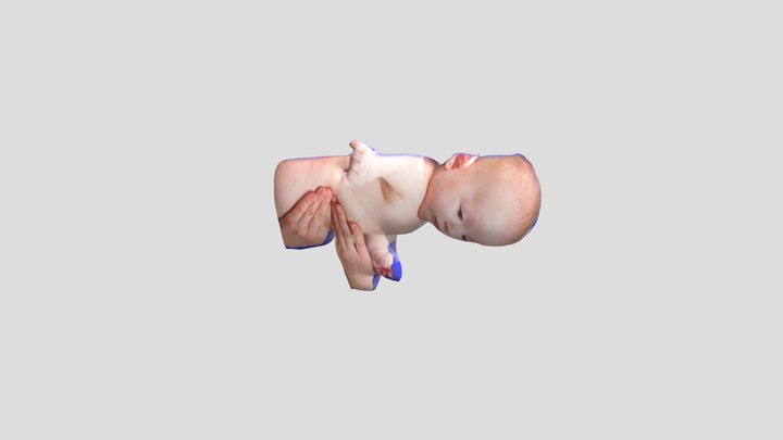 profile perut 3D Model