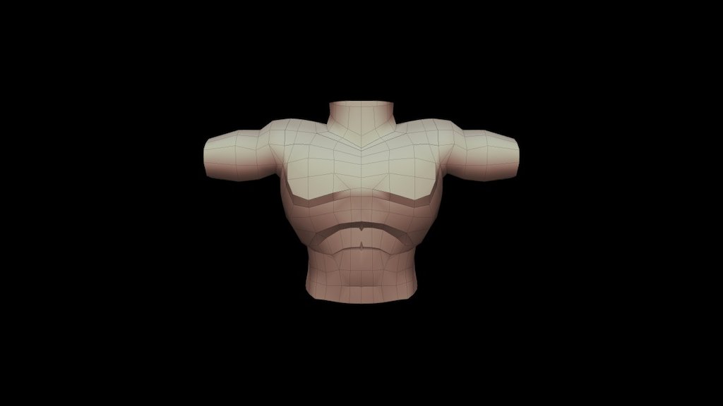 Torso