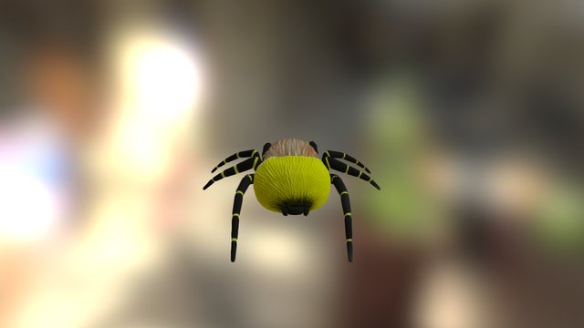 My Sketchfab Mesh 3D Model